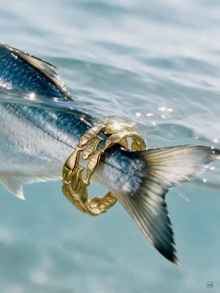 Aquatic Dance Armcuff