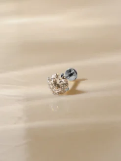 Classic Shine Titan Piercing