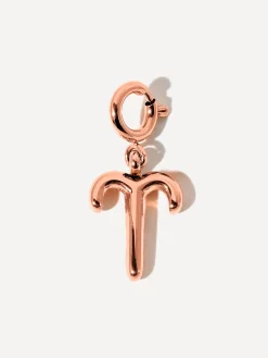 Classic Zodiac Ketten-Charm - Aries