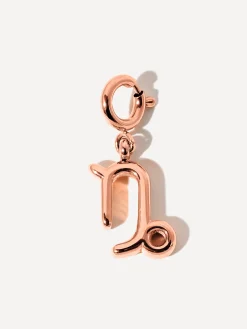 Classic Zodiac Ketten-Charm - Capricorn