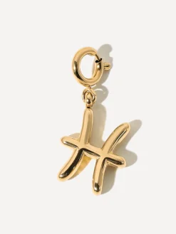Classic Zodiac Ketten-Charm - Pisces