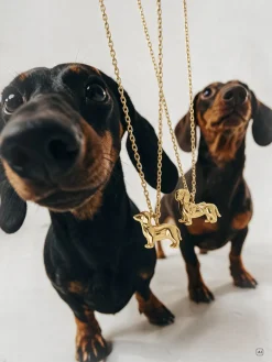 Creatura Leisure Dachshund Kette