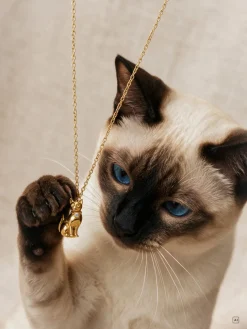Creatura Poised British Shorthair Kette