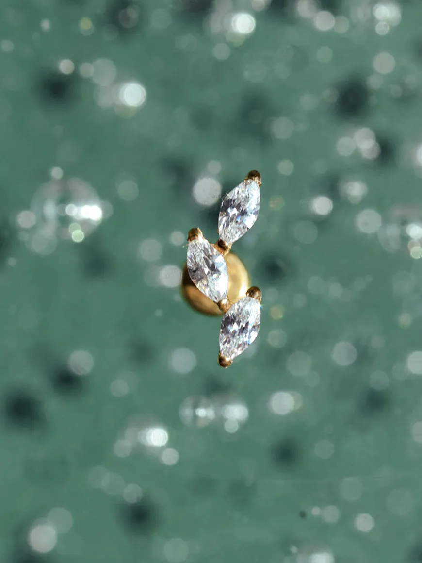 Curved Leaf Titan Piercing