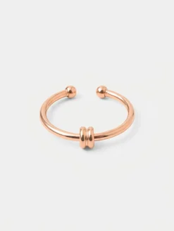 Elegant Duo Loop Ring