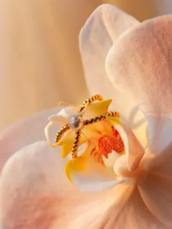 Elegant Pearl Ring