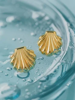 Elegant Shell Ohrringe