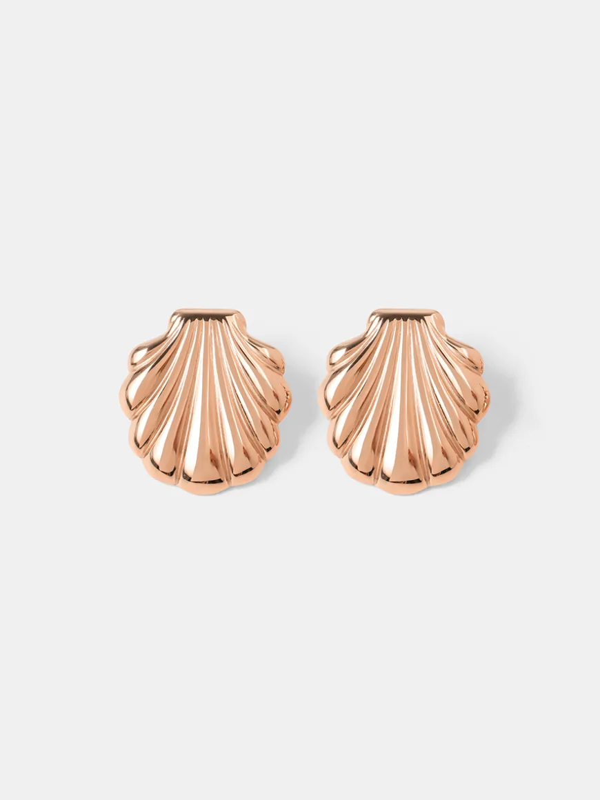 Elegant Shell Ohrringe
