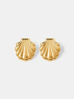 Elegant Shell Ohrringe