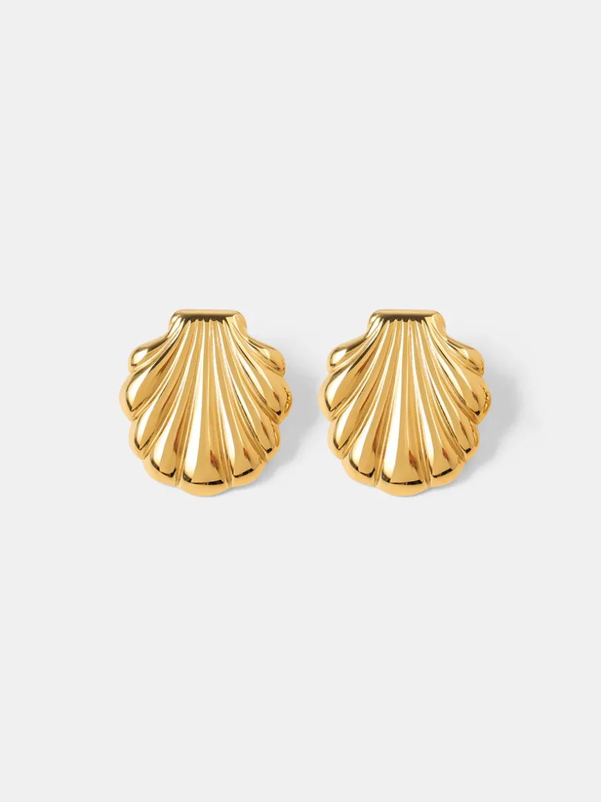 Elegant Shell Ohrringe