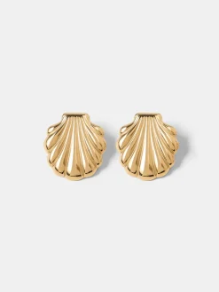 Elegant Shell Ohrringe