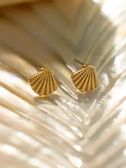 Exquisite Shell Ohrringe