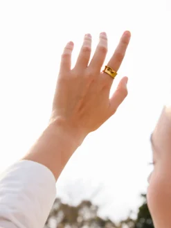 Mirror Arc Ring