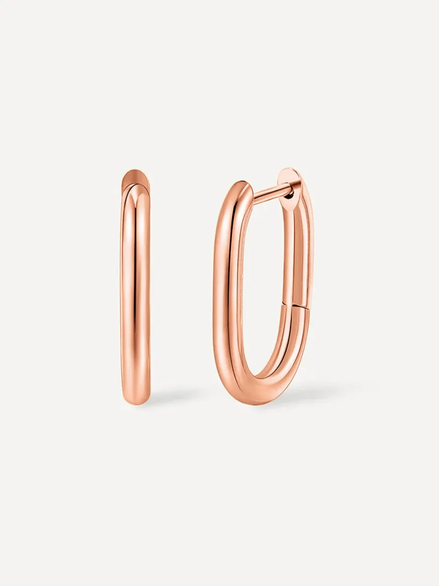 19mm Absolute Appeal Small Ohrringe