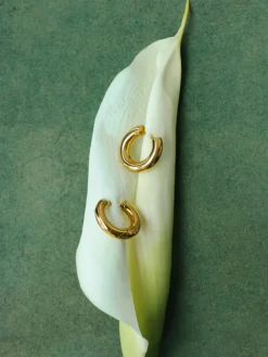 16mm Plump Halo Ohrringe
