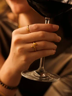 Modern Curve Ring