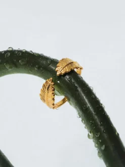 Nature Wings Ring