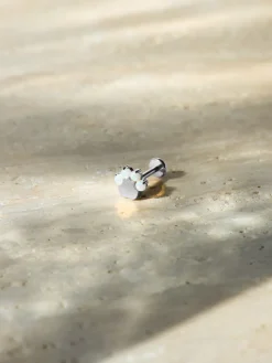 Paw Glow Titan Piercing
