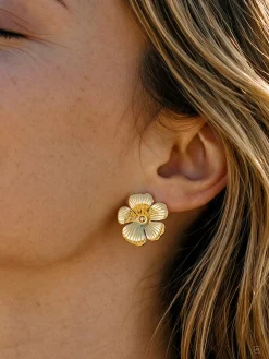 Prairie Bloom Set