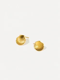 Pure Shell Ohrringe