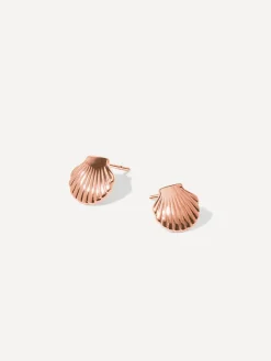 Pure Shell Ohrringe