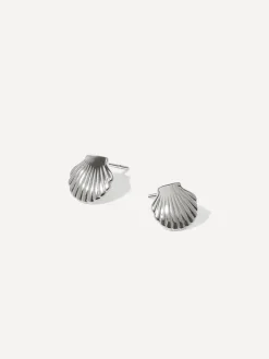 Pure Shell Ohrringe