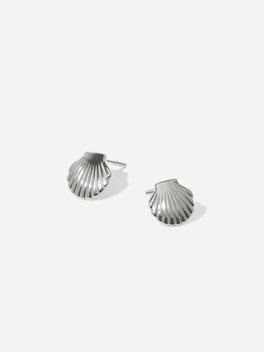 Pure Shell Ohrringe
