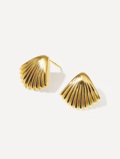 Seashell Elegance Ohrringe