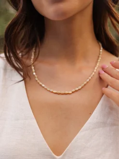 Sea Shell Kette