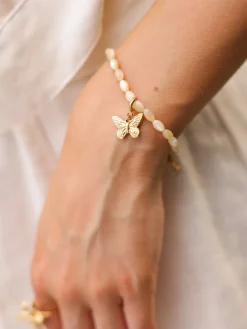 Sea Shell Set
