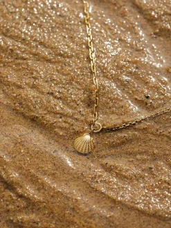 Seashells Kette
