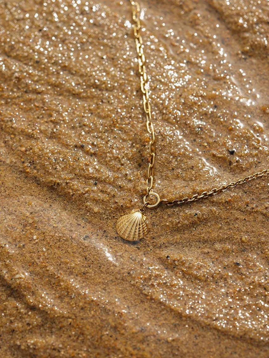 Seashells Kette
