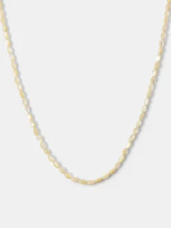 Sea Shell Thin Kette