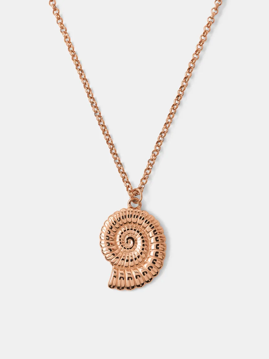 Seashell Treasure Kette