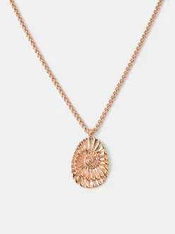 Shell Core Kette