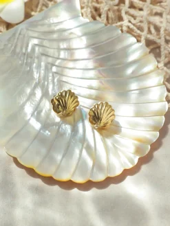 Shell Melody Ohrringe