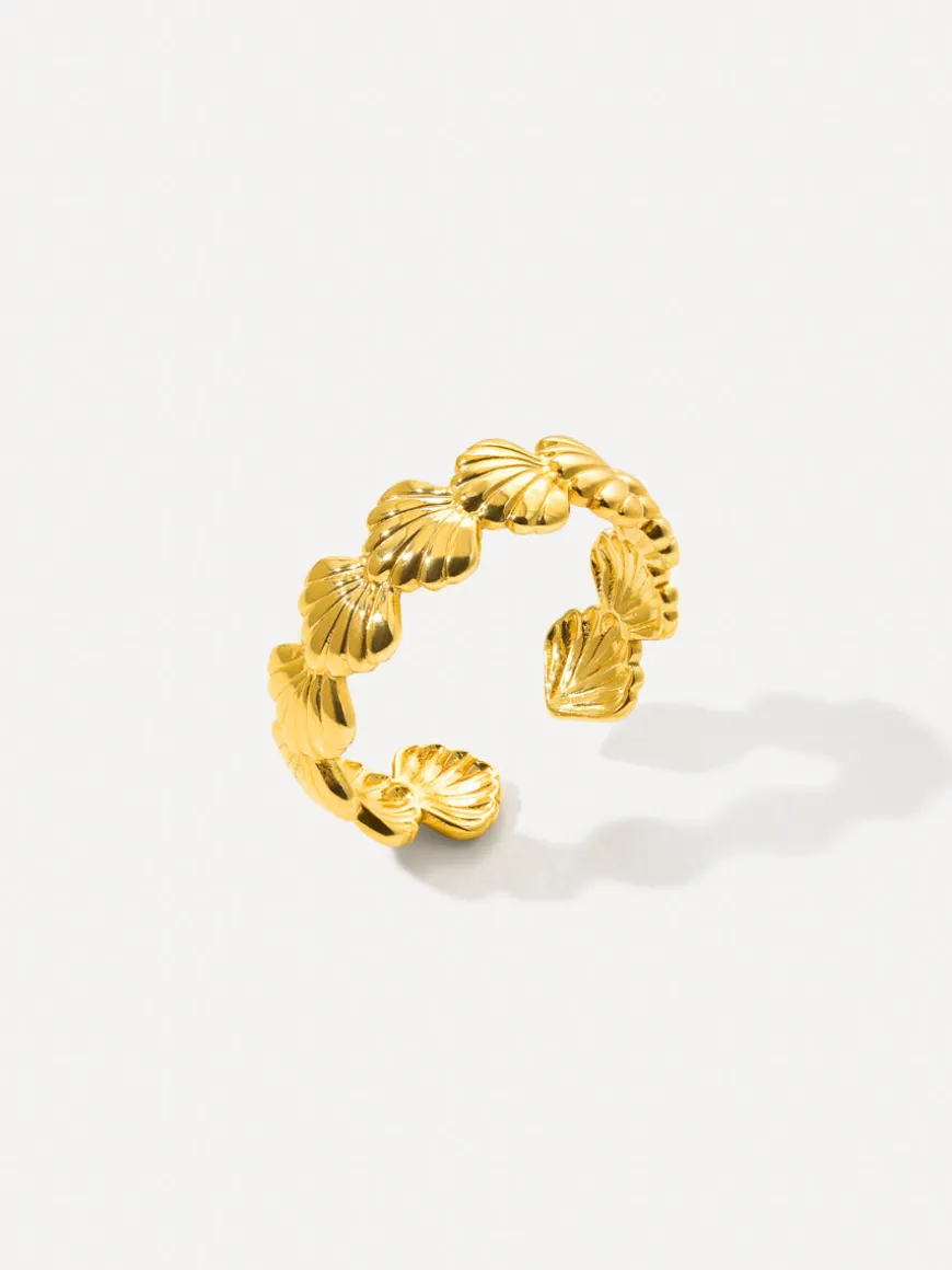 Shell Radiance Ring
