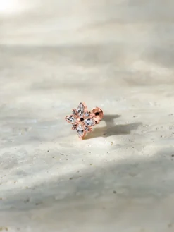 Shimmering Bloom Titan Piercing