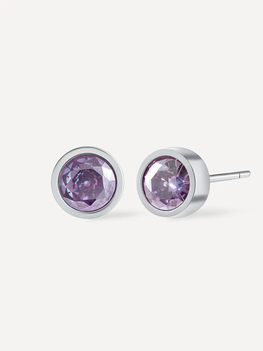 Shine Purple Ohrringe