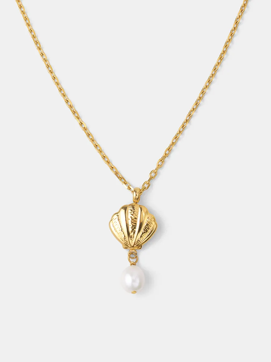 Starfall Shell Kette