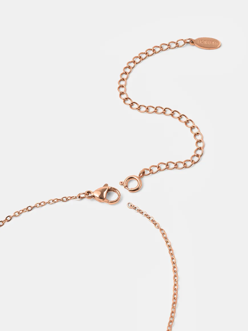 The Basis Kette