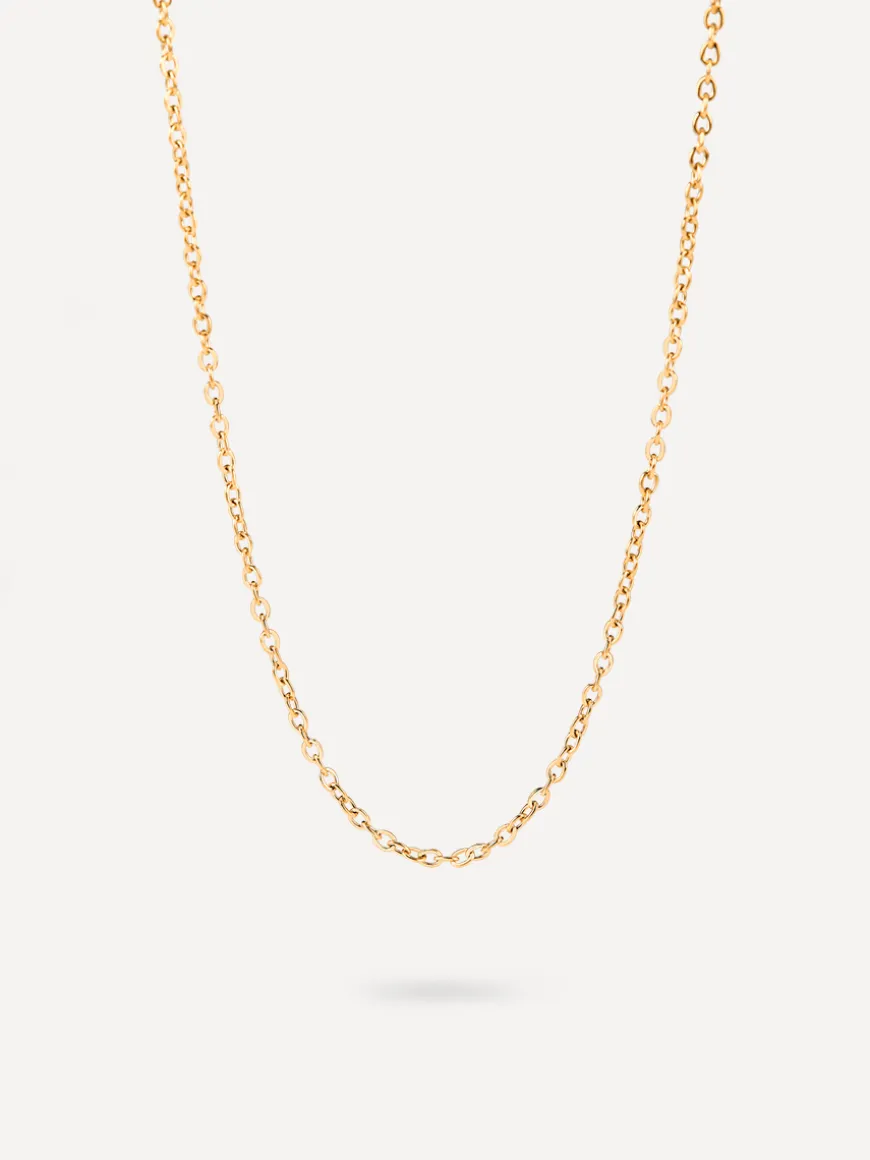 The Basis Kette