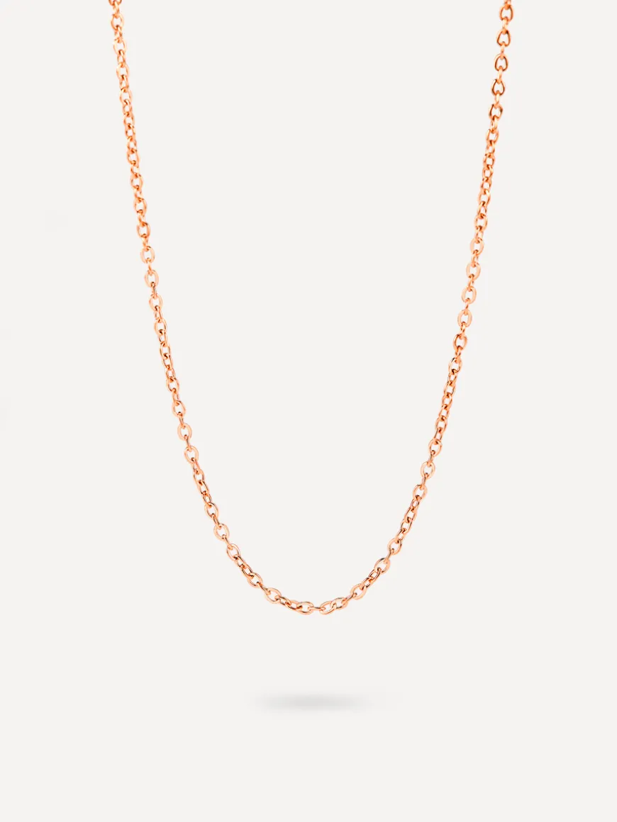The Basis Kette