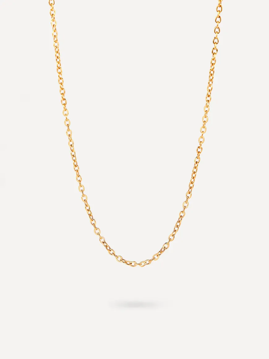 The Basis Kette