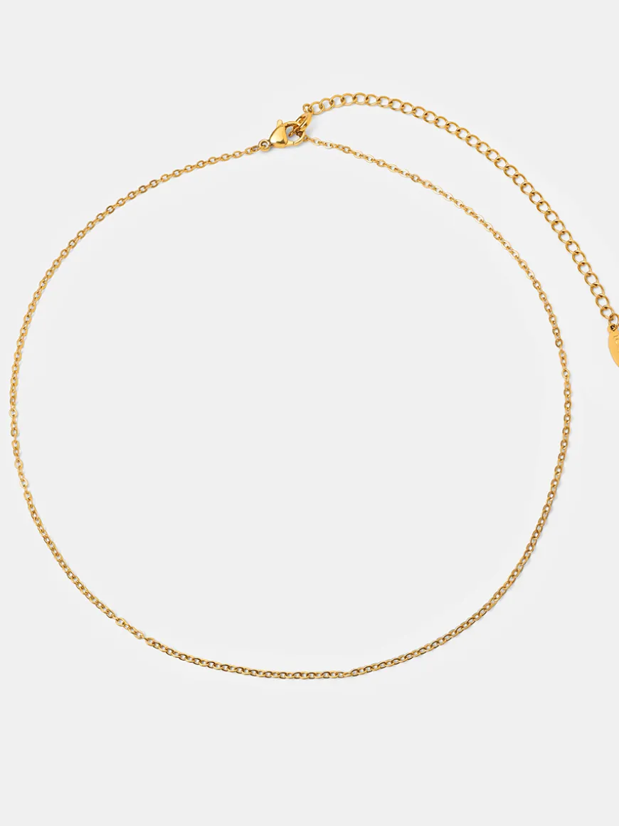 The Basis Kette