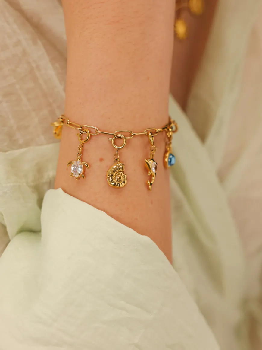 Turtle's Journey Ketten-Charm