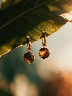 Vibrant Tiger's Eye Ohrringe