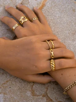Zeal Ring